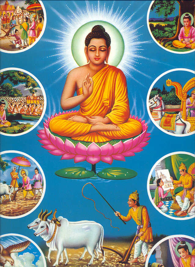 To Seventh Heaven Life of Buddha