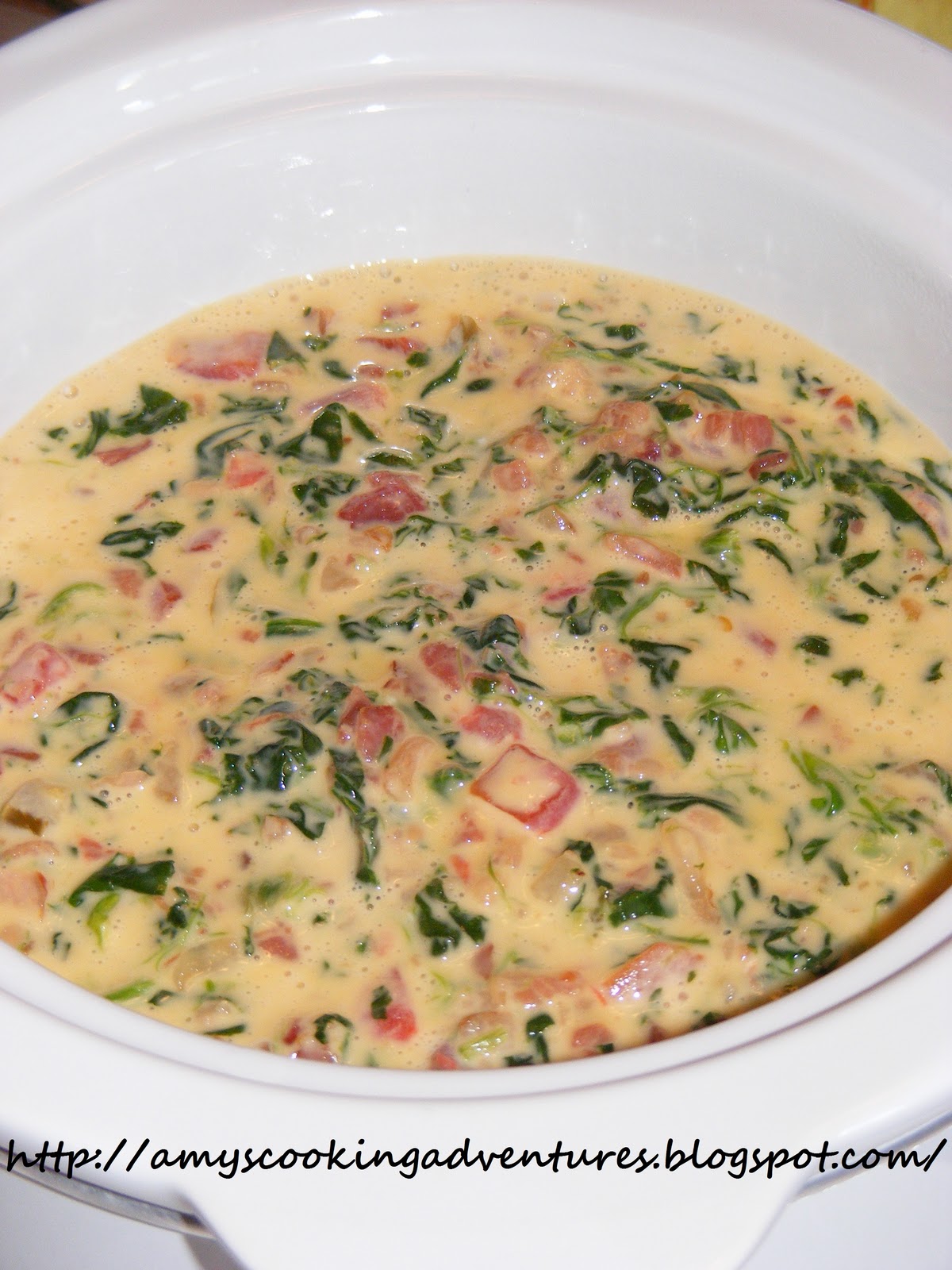 Spinach and Bacon Cheese Dip