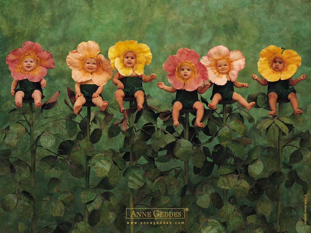 [AnneGeddes_Wallpaper1024_168.jpg]