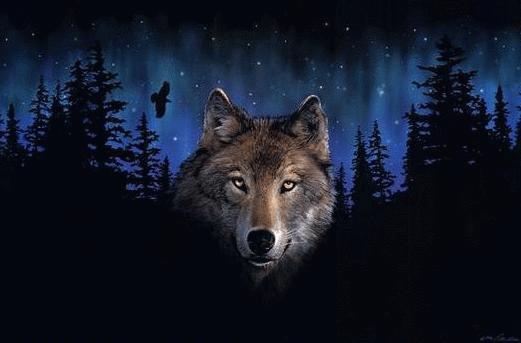 [Wolf-Fantasy.jpg]