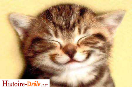 [image-drole-90.jpg]