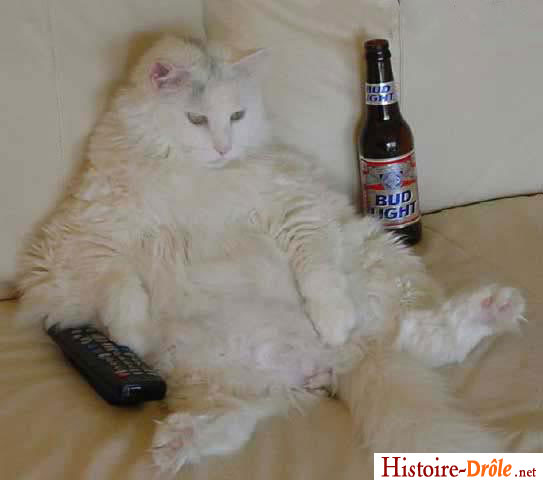 [image-drole-26.jpg]