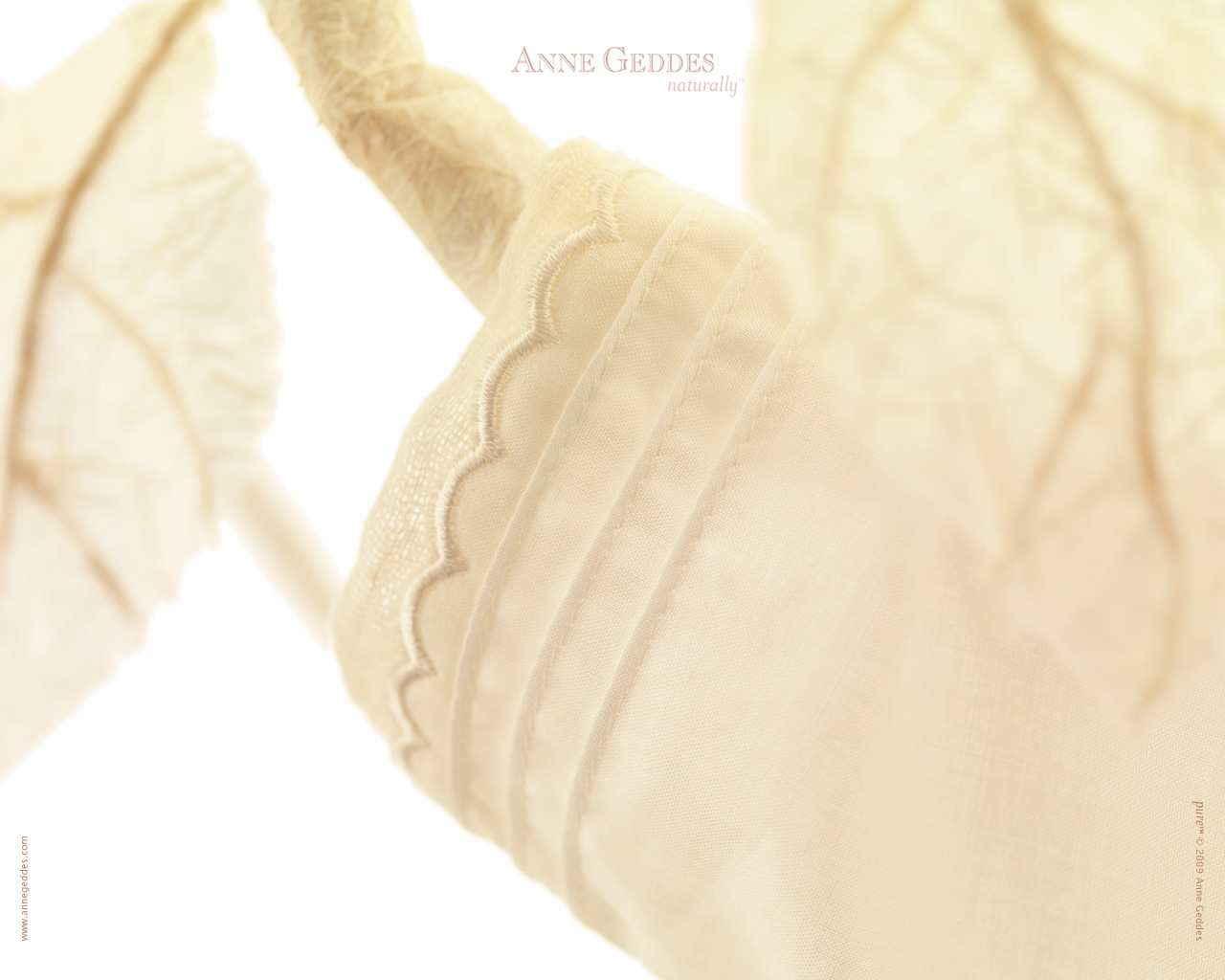 [AnneGeddes_Wallpaper1280_356.jpg]