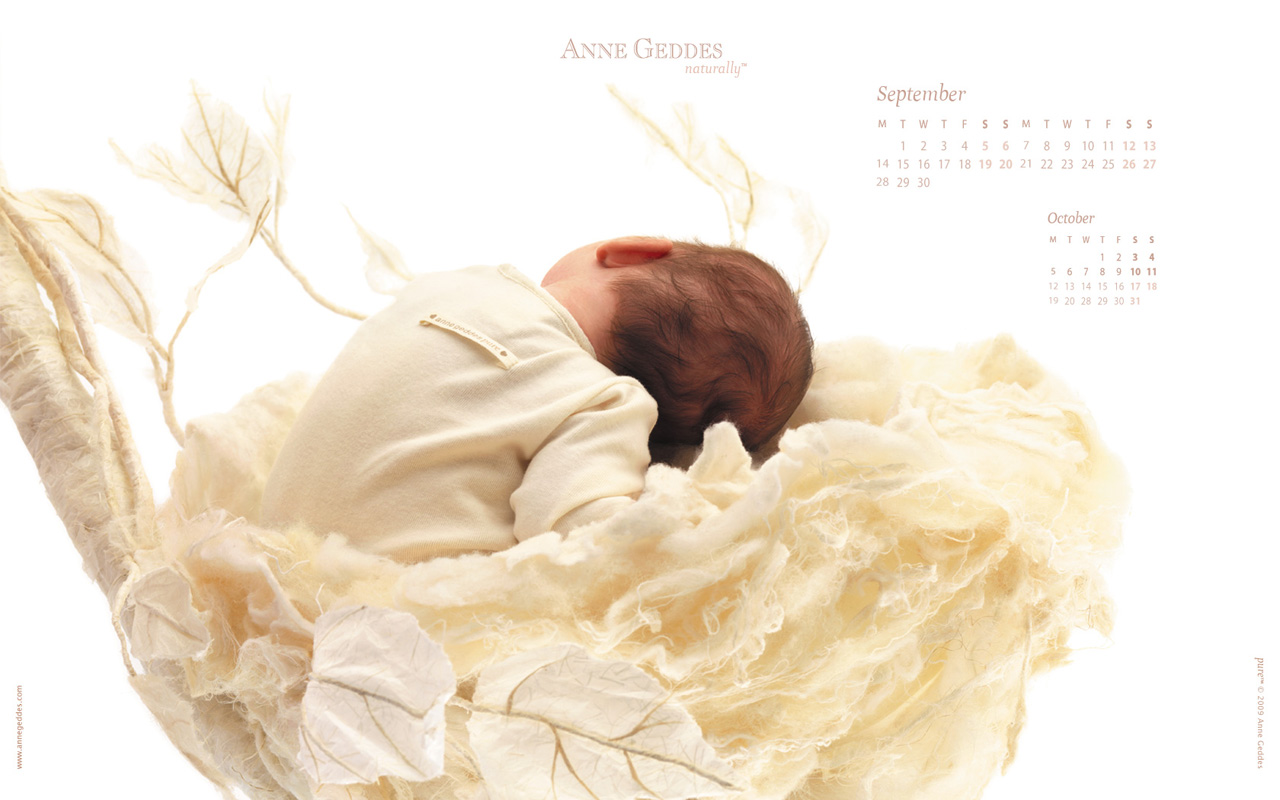 [AnneGeddes_Wallpaper1280800_358.jpg]