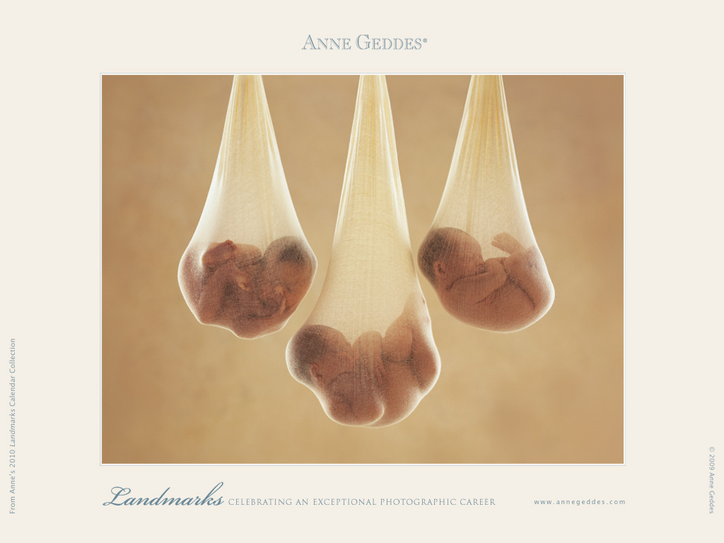 [AnneGeddes_Wallpaper1024_377.jpg]