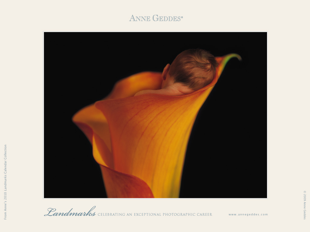 [AnneGeddes_Wallpaper1024_381.jpg]