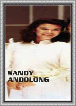 picture of Sandy Andolong