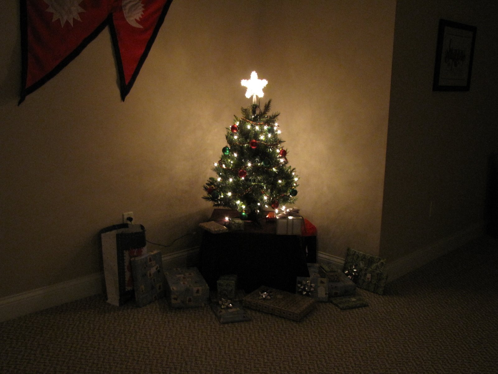 [sm+tree+1.JPG]