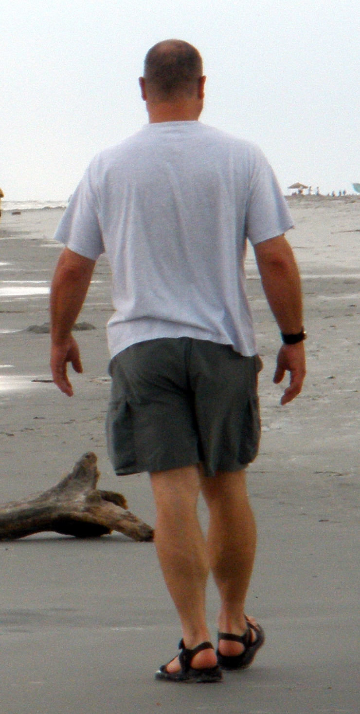 bear-me-out-the-mind-of-a-bear-january-2011