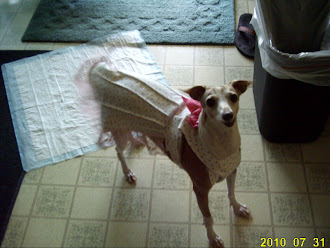check out my dress