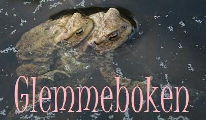 Glemmeboken