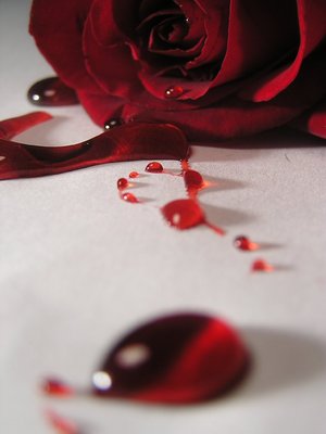 [bleeding_red_rose_2_by_urdisasterousstock.jpg]