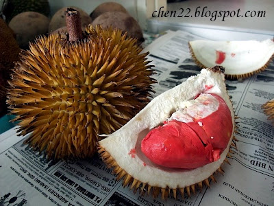http://2.bp.blogspot.com/_ew0ygfS5tl4/SXXkeGBCURI/AAAAAAAADzE/U3auGeqdgU0/s400/DSCF0593+Sabah+red+jungle+durian+1.jpg