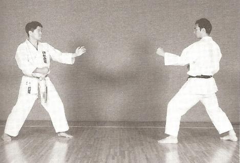 shotokan karate odyssey sparring crazy monkey defense vs shotokan