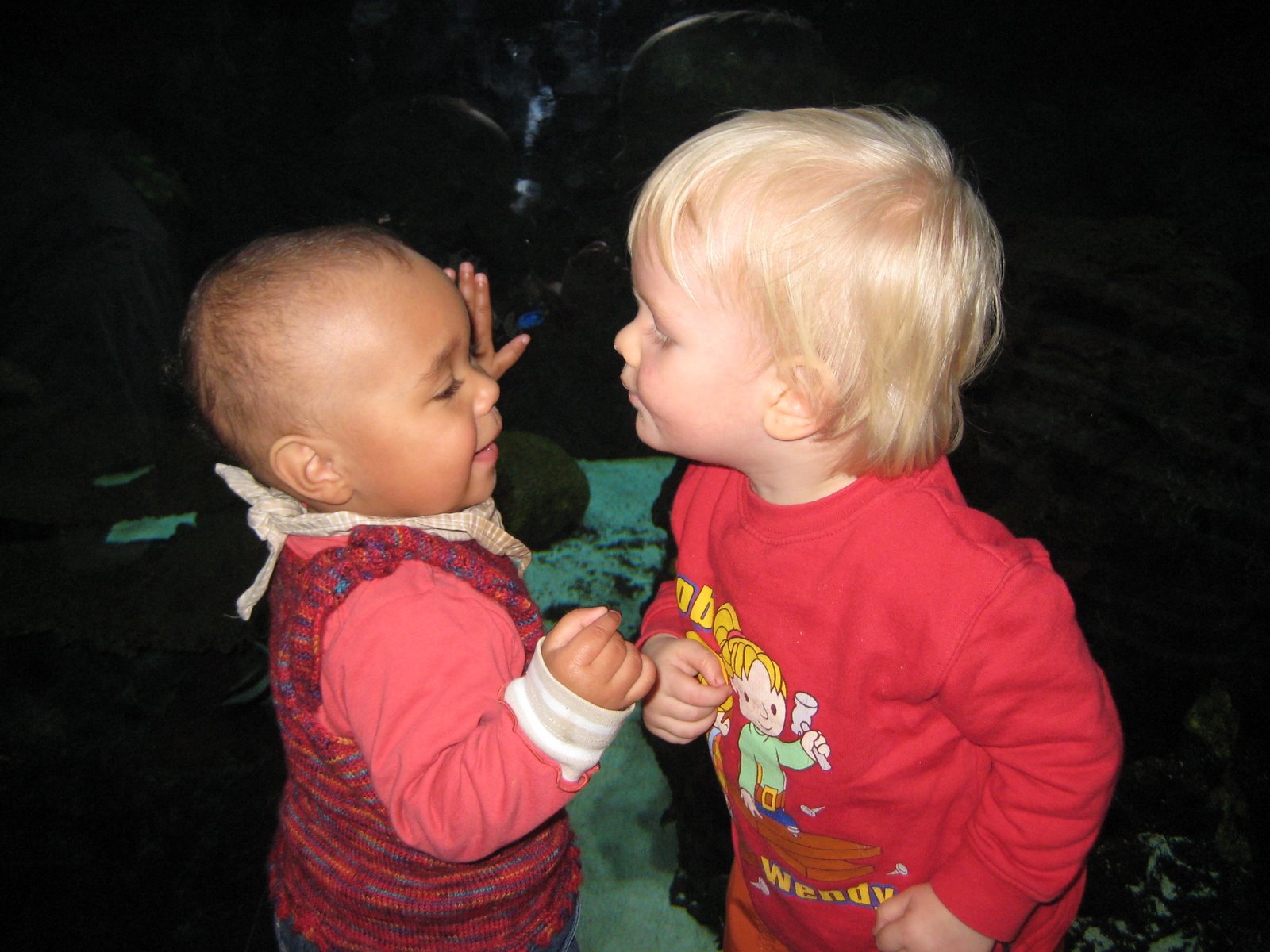 [IMG_2658.JPG]