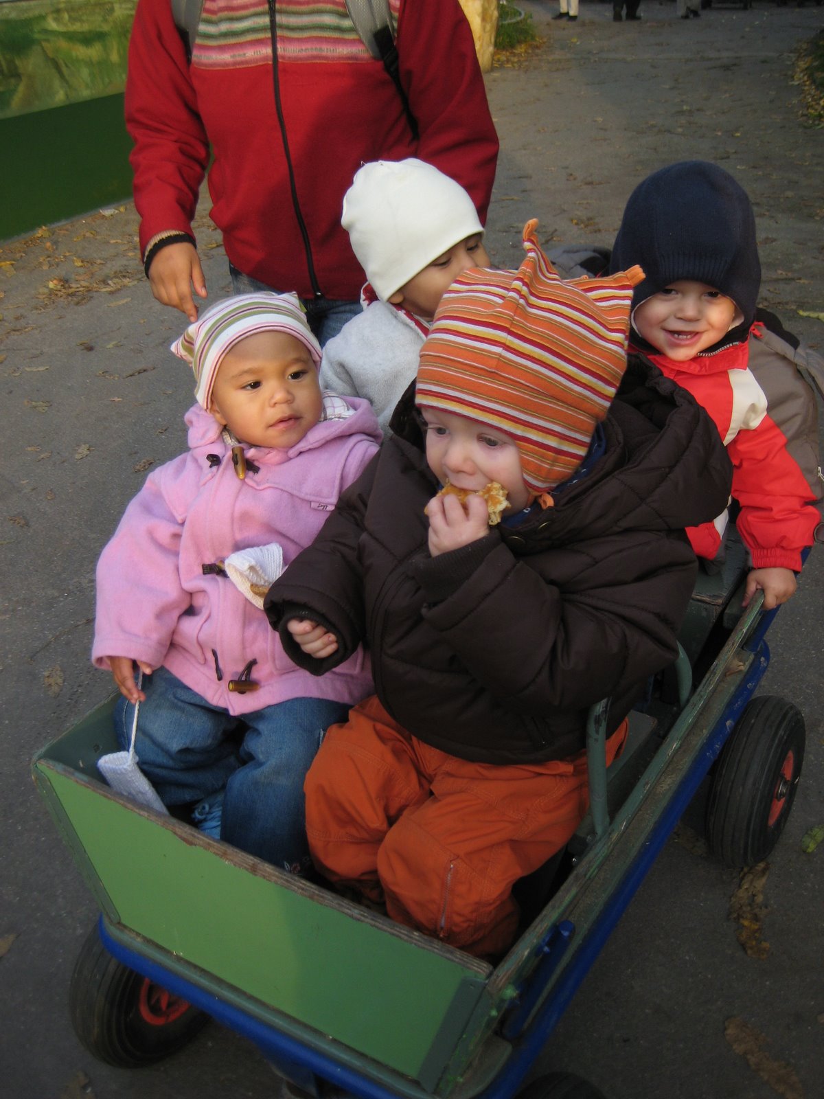 [IMG_2610.JPG]