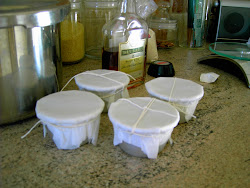 pressure cooker christmas recipe ready stasher benefit