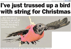 CFZ: Daily News: I ve just trussed up a bird with string for Christmas