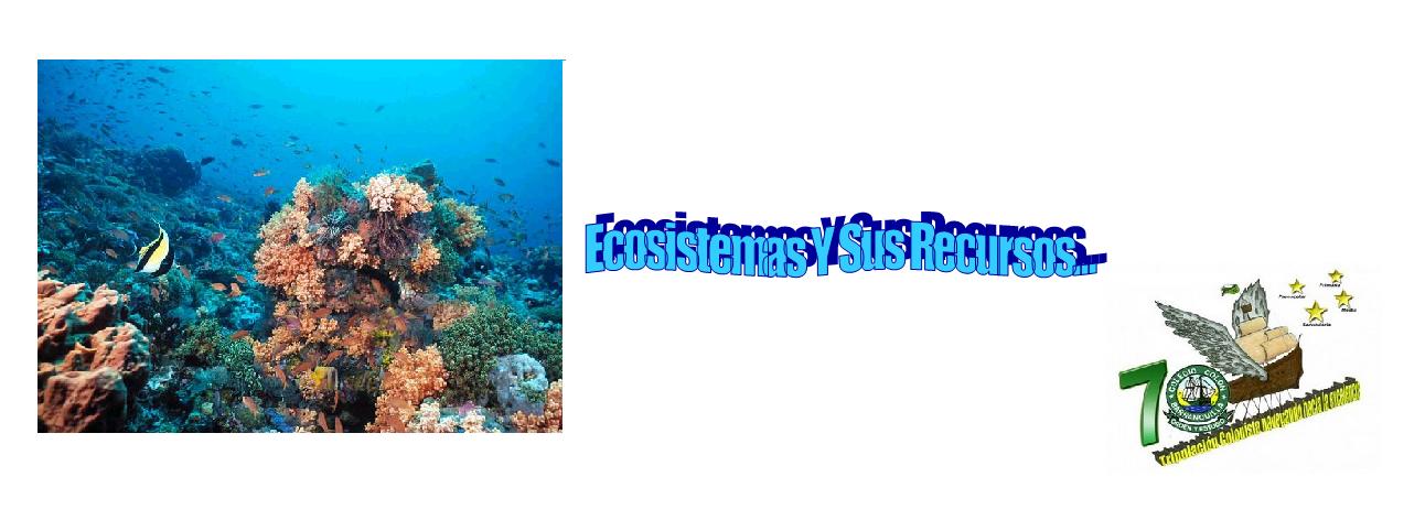 Los Ecosistemas Y Sus Recursos