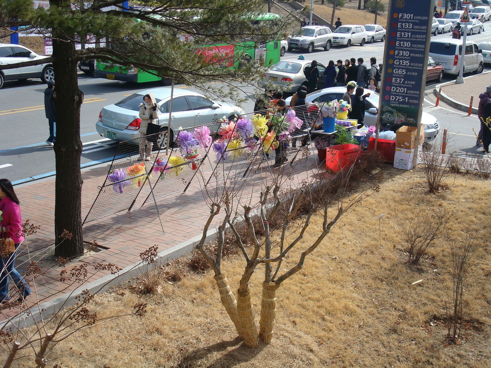 [DSC03191.JPG]