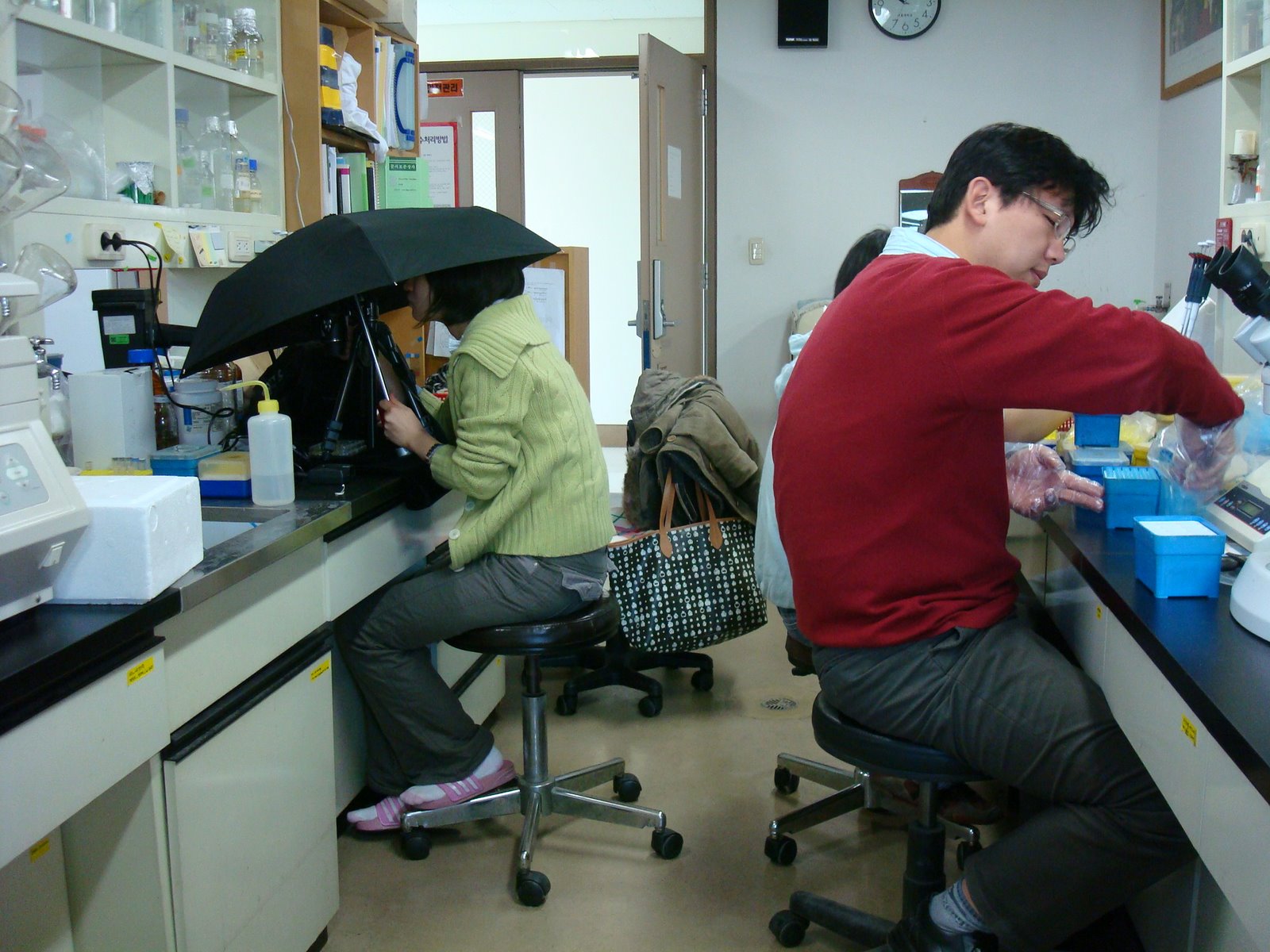 [DSC03174.JPG]