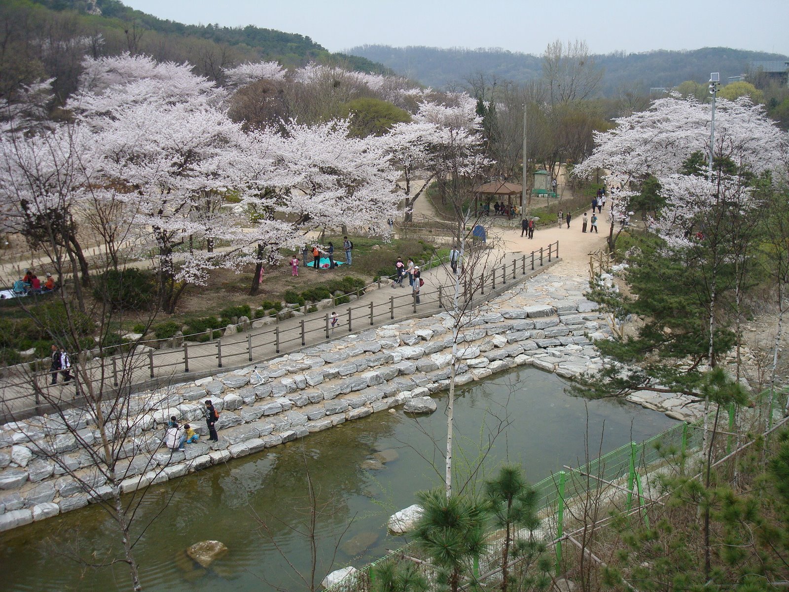 [DSC03397.JPG]