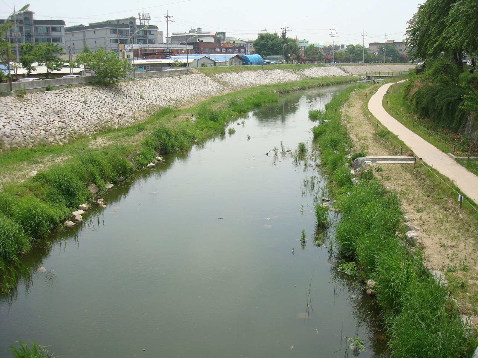 [DSC03517.JPG]
