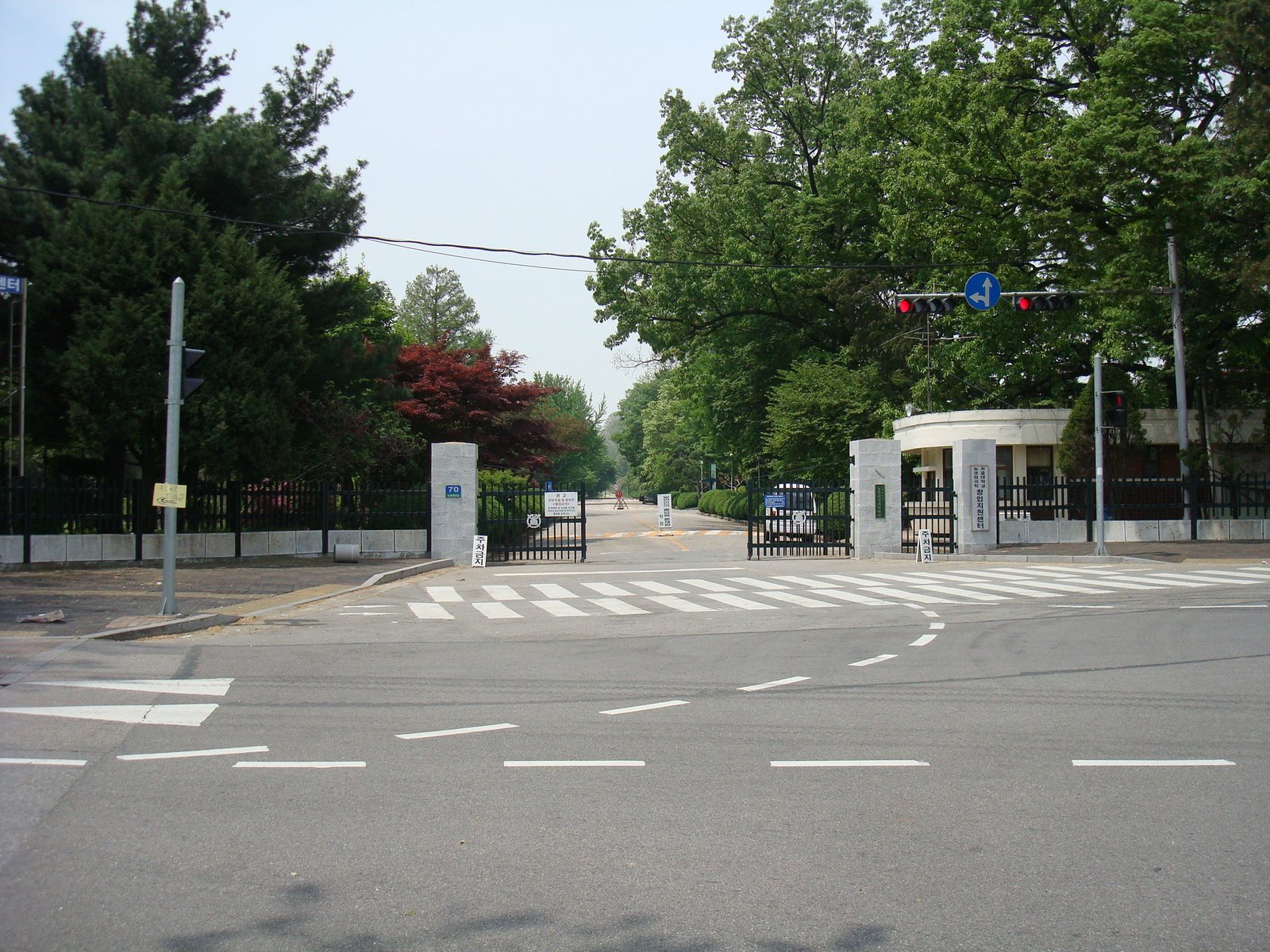 [DSC03493.JPG]