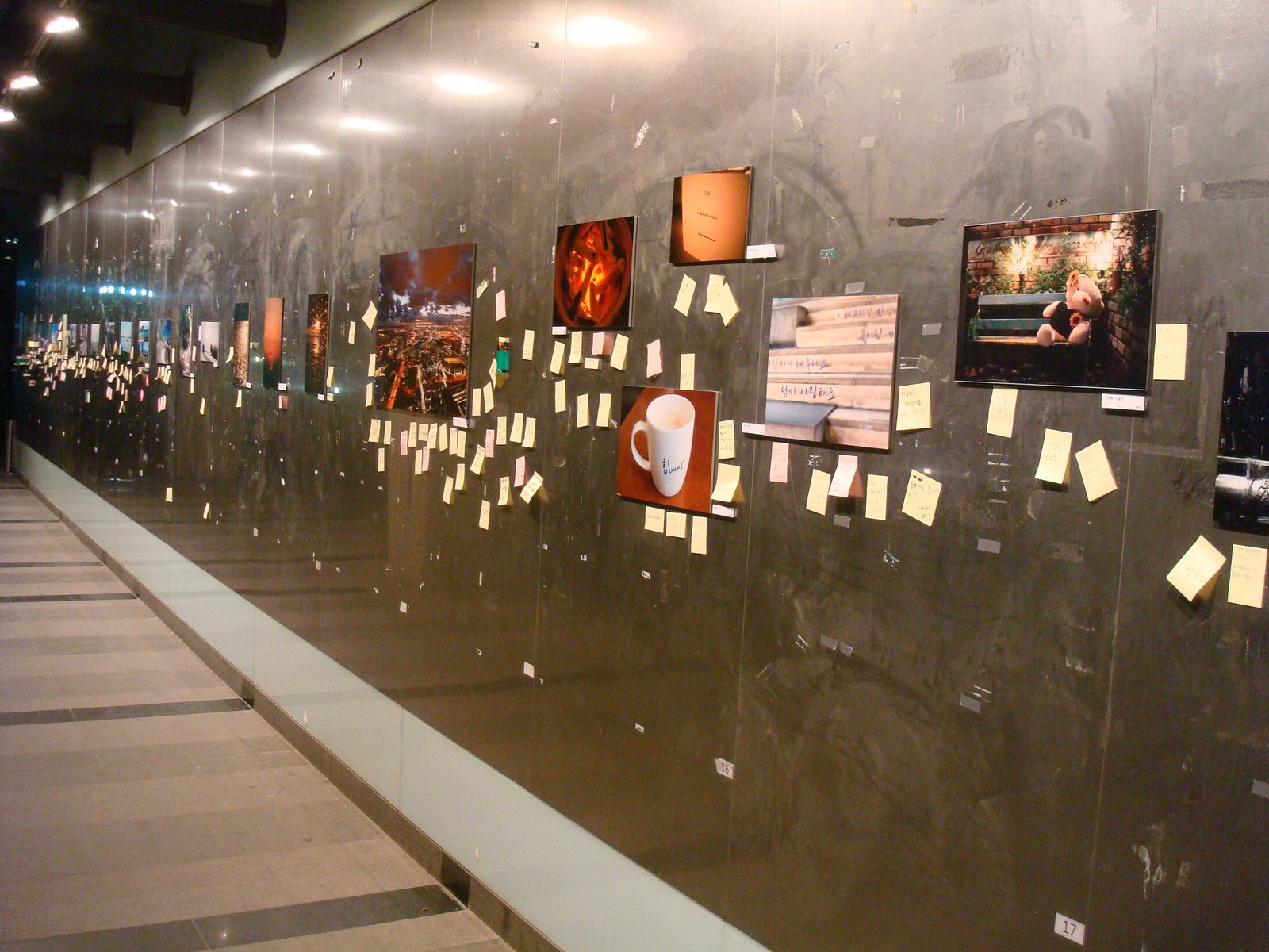[DSC03481.JPG]