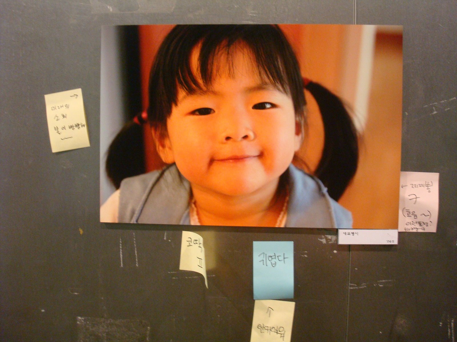 [DSC03478.JPG]