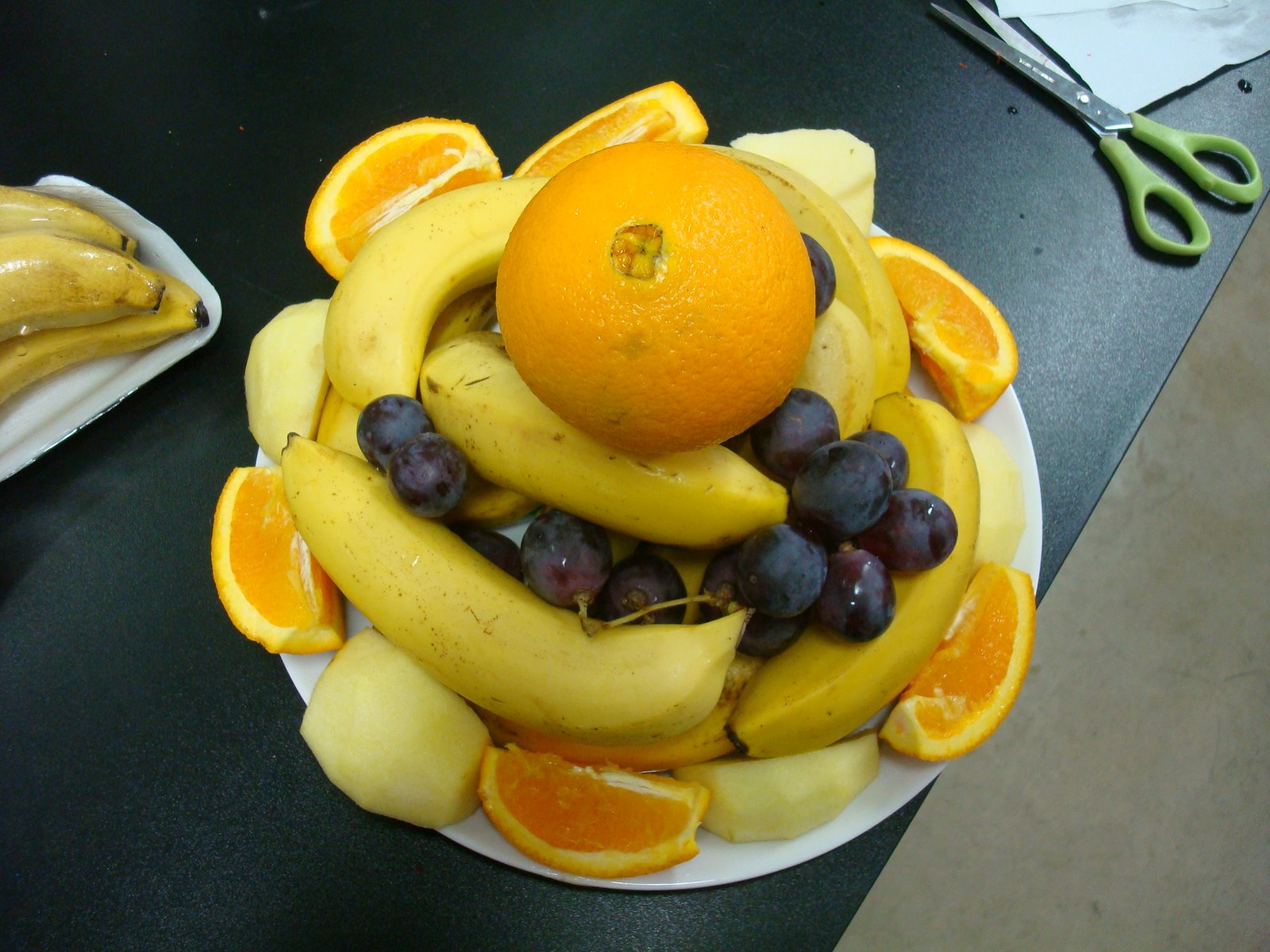 [DSC03580.JPG]