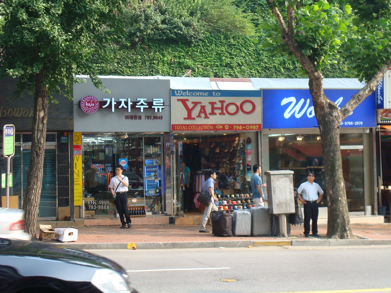 [DSC03819.JPG]