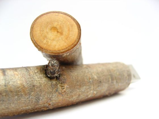 Fun & Info @ Keralites.net