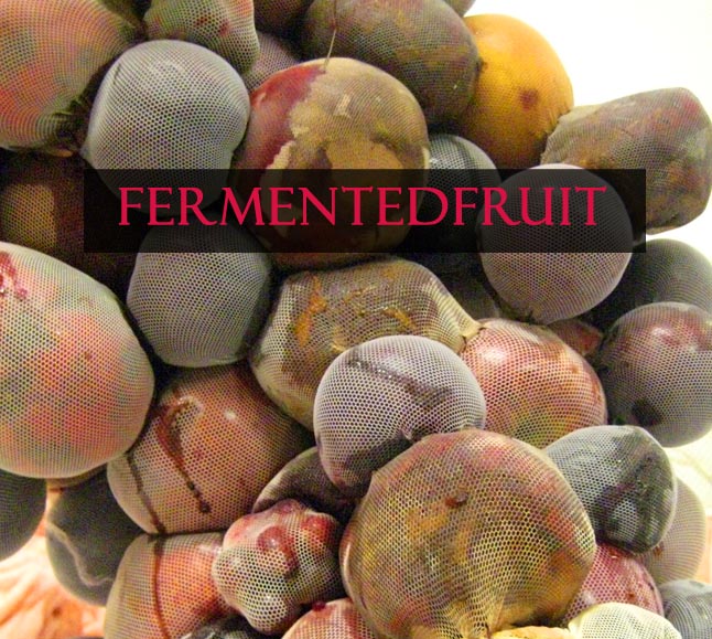 fermented Fruit