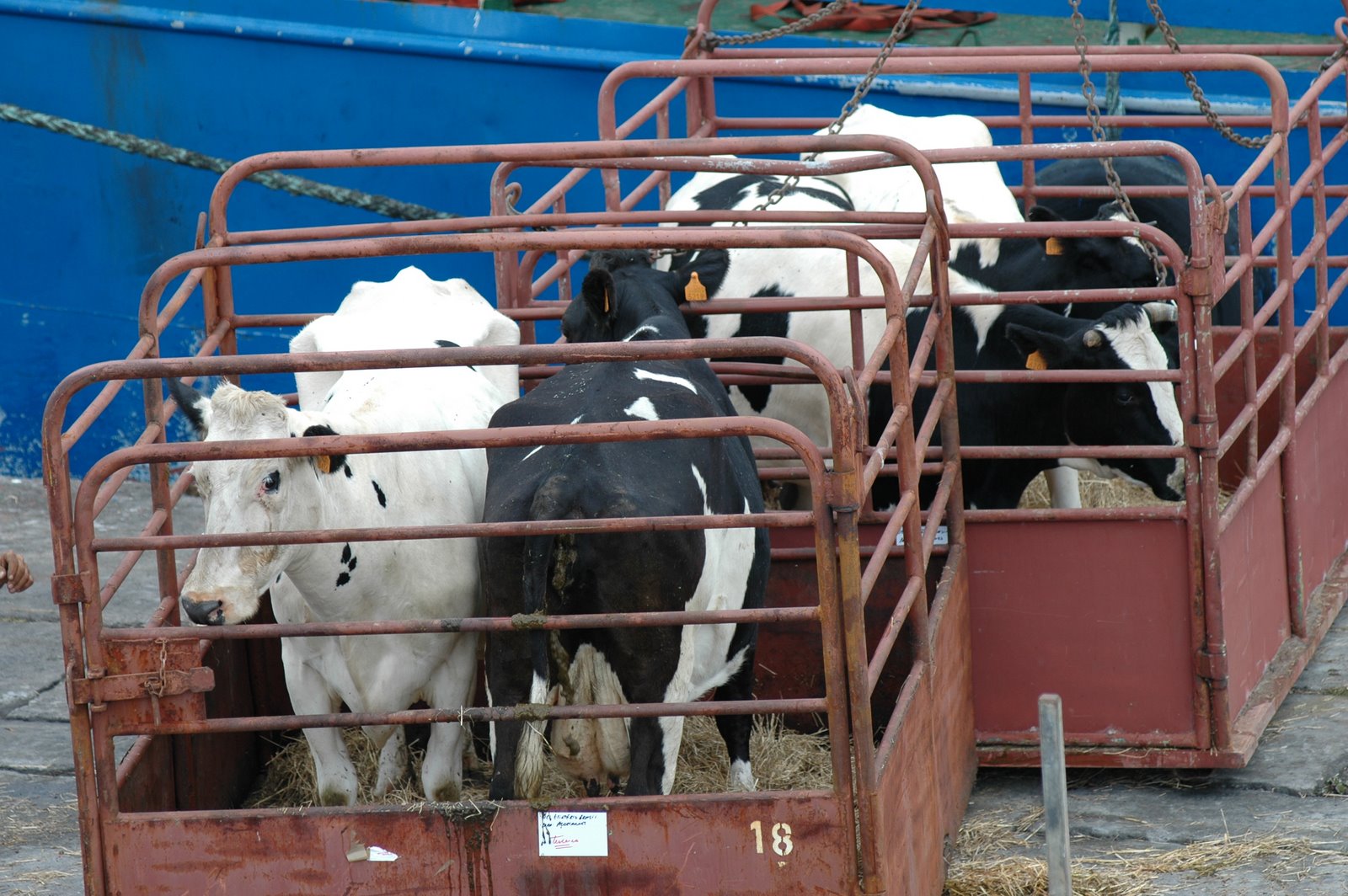 [27-09-2006+055.jpg]