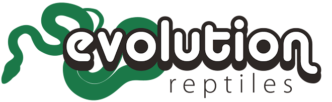 Evolution Reptiles