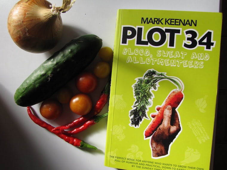 Plot34: Why My Dad Can't Have A Flamethrower (and the Plot 34 Guide to