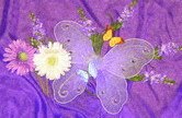 Butterflykisscrochet