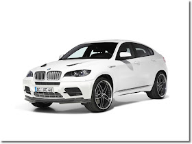 Bmw X6 2010. Bmw X6 Wallpaper White. 2010