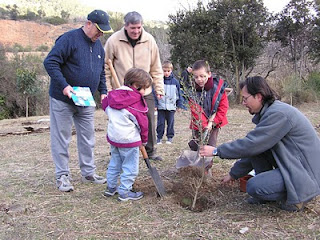 Festa de l'arbre 2005