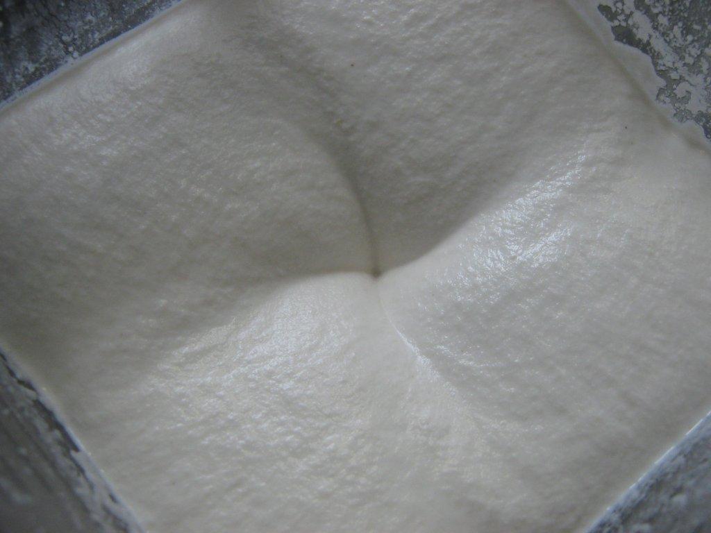 the happy raw kitchen Real Cream Cheese