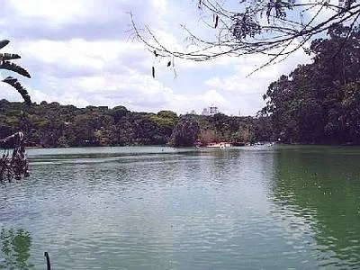 zoologico aves