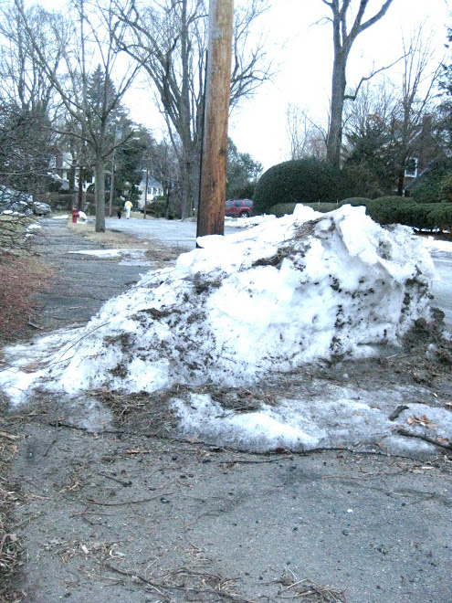 Waban sidewalk snow mountain