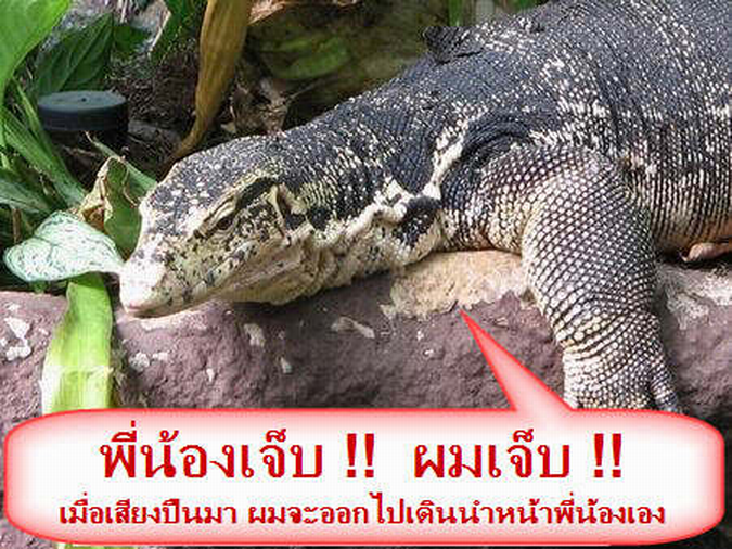 Posted Image