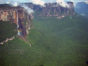 Salto del Angel - Venezuela