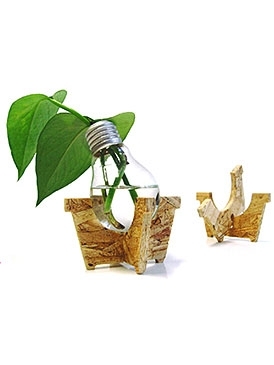 [bombilla_mode_large_qualite_es.jpg]