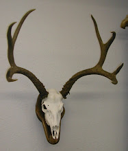 European Mount