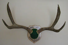Antler Panel