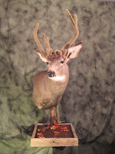 Full Shoulder Pedestal Mount