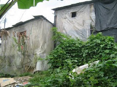 tipologia de la vivienda